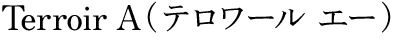 テロワールエー、テロワールA、Terroir A